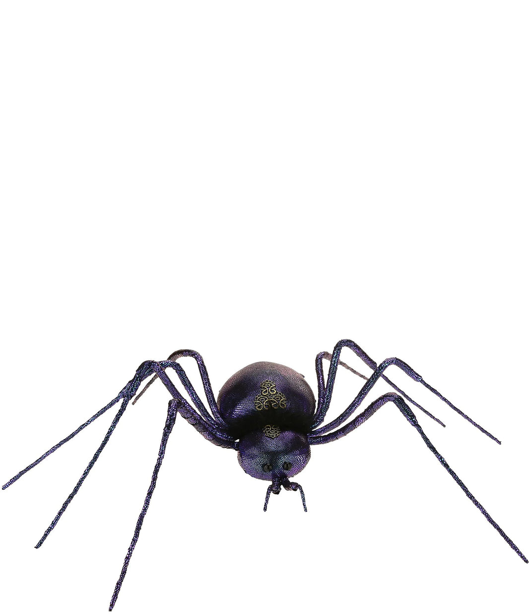 Crawling Spider