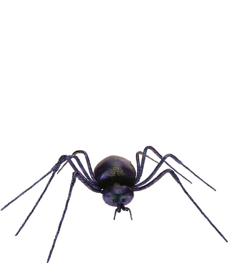 Crawling Spider