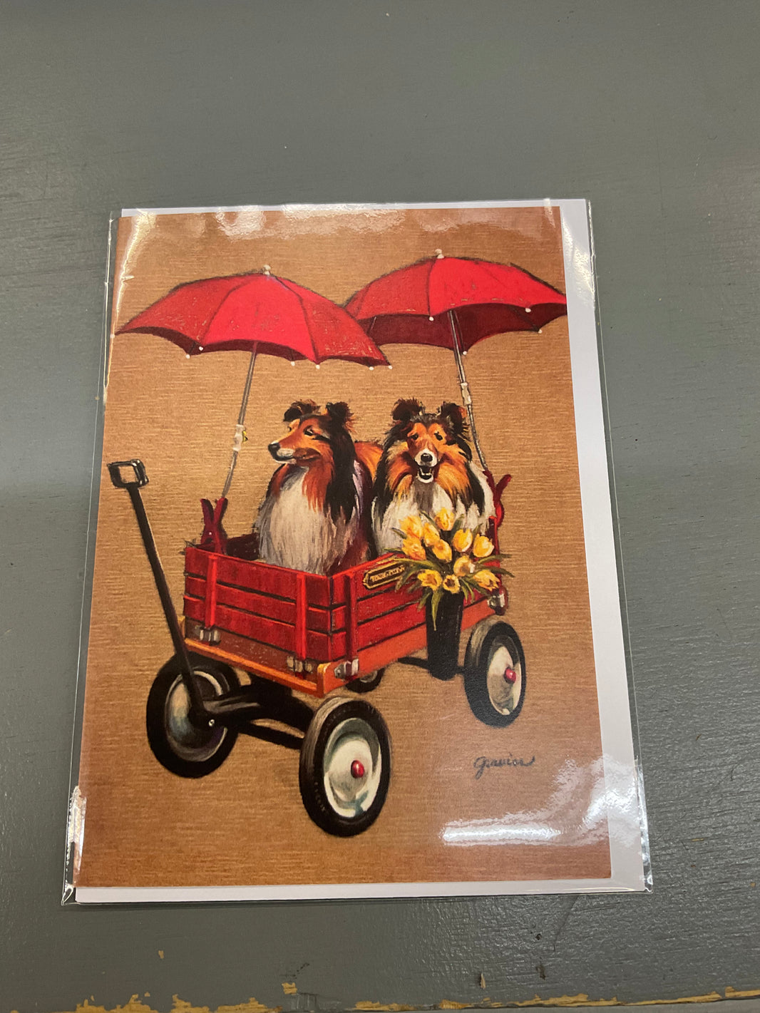 Graviss Studio USA Card