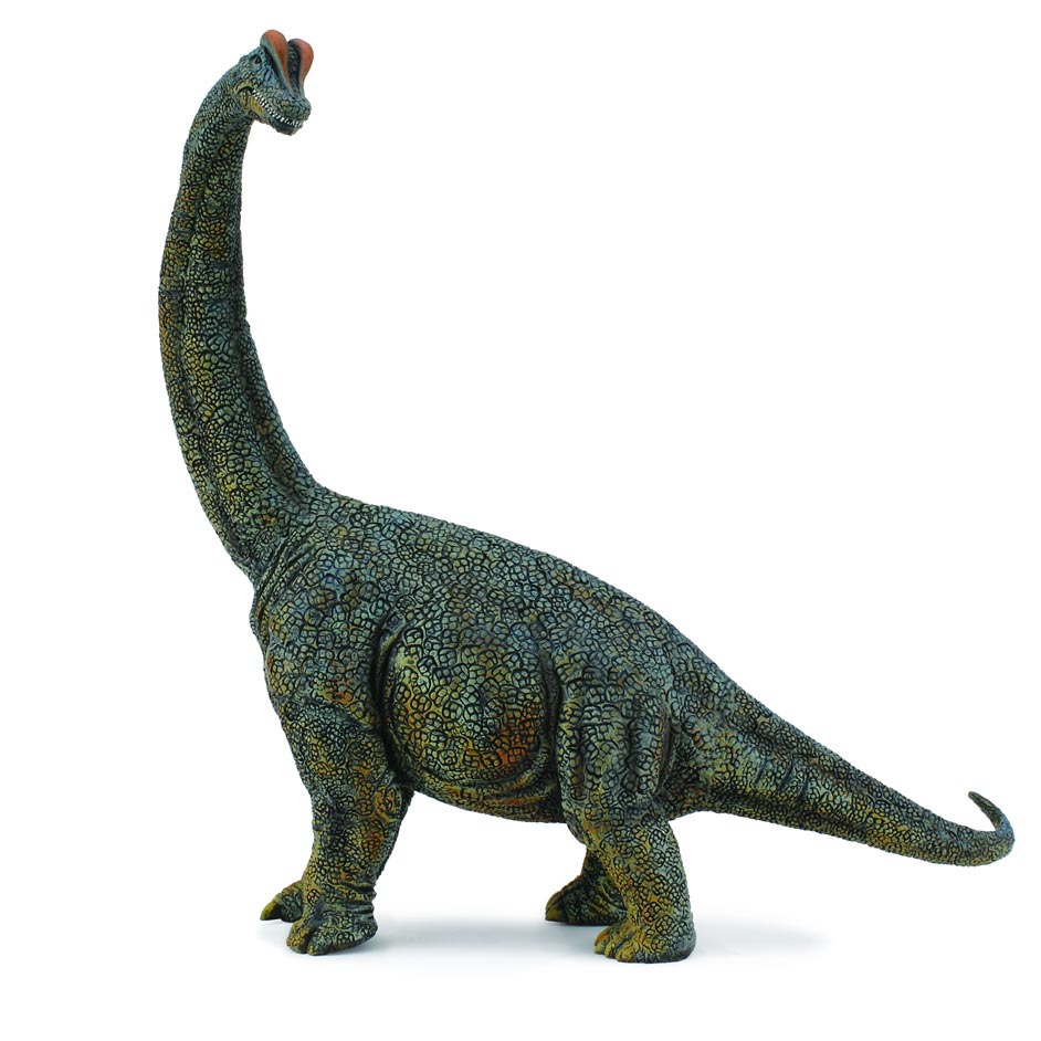 Brachiosaurus Deluxe Dinosaur | Collecta by Breyer