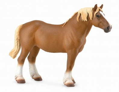 Belgian Mare