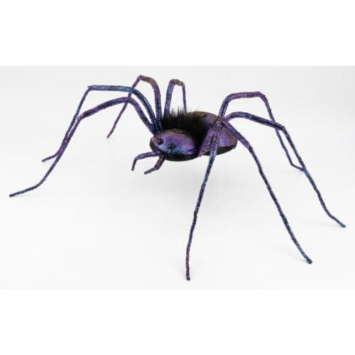 Crawling Spider