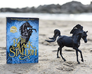 Breyer Black Stallion and Horse and book Set
