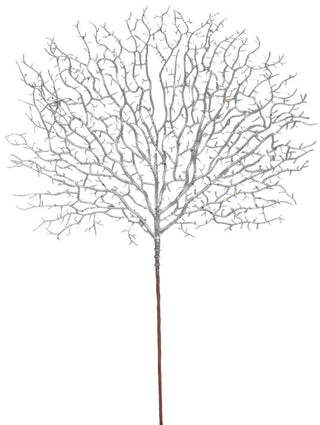 Silver Coral Branch
