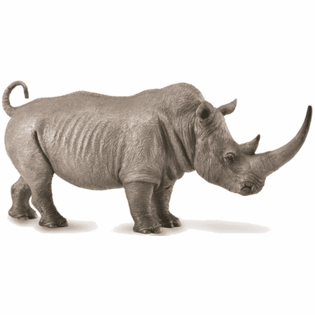 White Rhinoceros | Collecta by Breyer | 88852