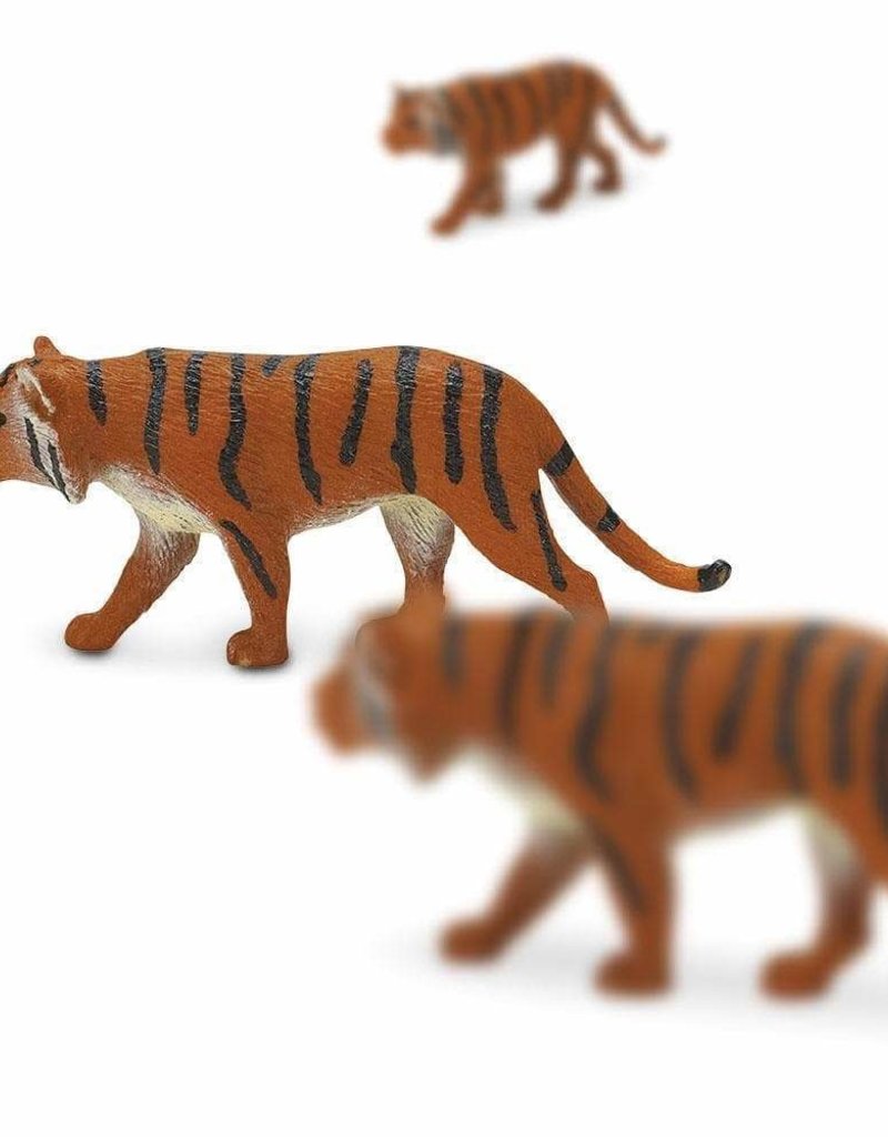 Siberian Tigers- Good Luck Mini