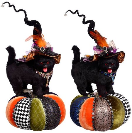 Mark Roberts Cat on Pumpkin