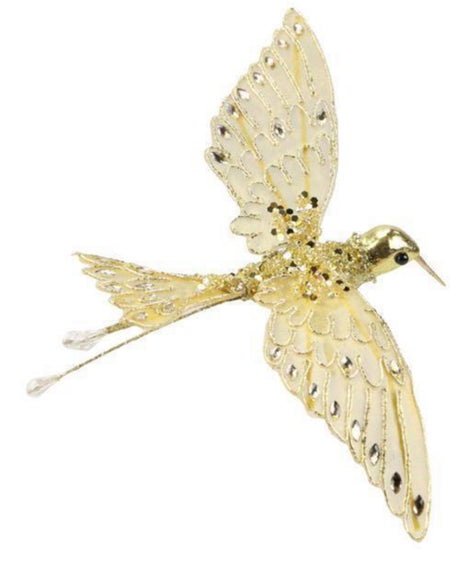 Gold Humming Bird