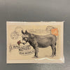 Land of Elsewhere "Sympathy & I’m Sorry" Cards