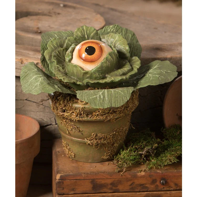 Eerie Eyeball Lettuce