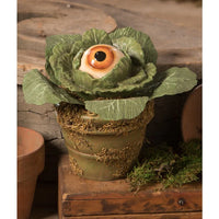 Eerie Eyeball Lettuce