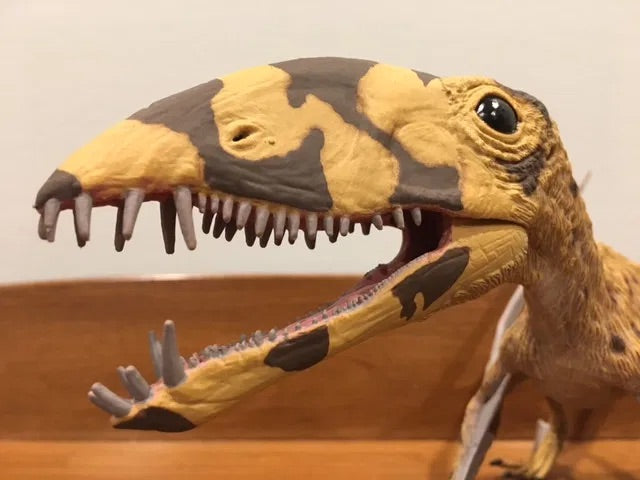 Dimorphodon