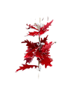 Poinsettias Pick