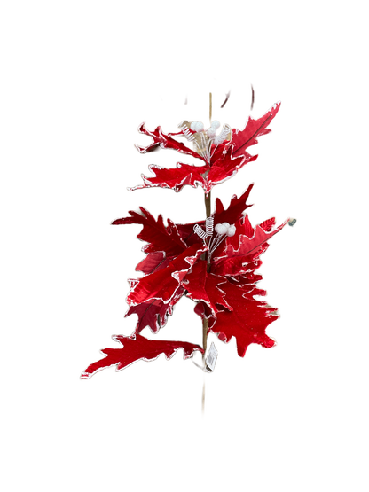 Poinsettias Pick