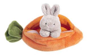 Carrot Learn & Grow Plush Set