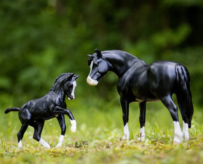 Breyer Nistar Blazing Kansas LOM & GTF Blazing Ethel | 1857